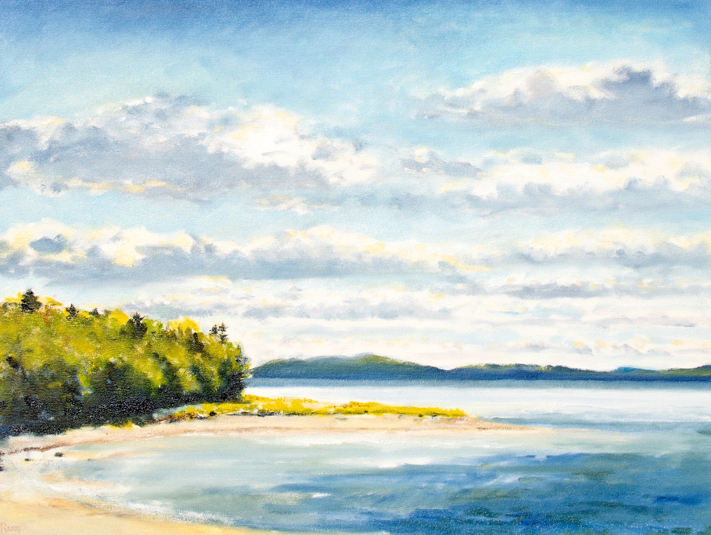 Sears Island by Matthew Russ
