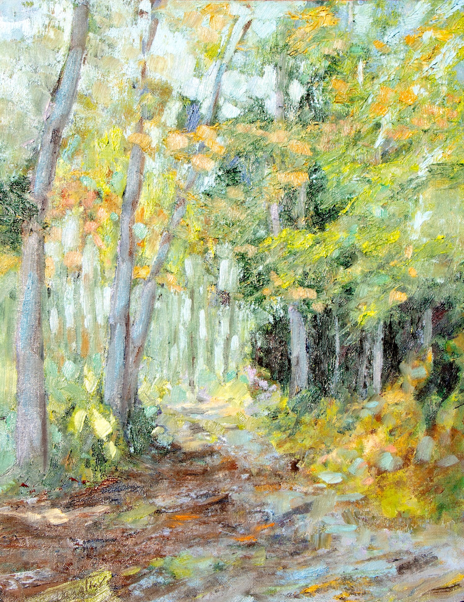 Woodland Path by Carol L. Douglas
